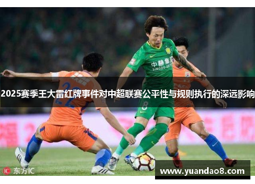 2025赛季王大雷红牌事件对中超联赛公平性与规则执行的深远影响