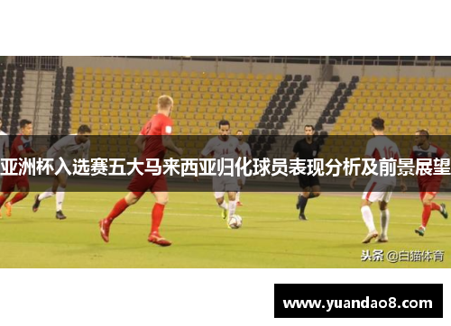 亚洲杯入选赛五大马来西亚归化球员表现分析及前景展望